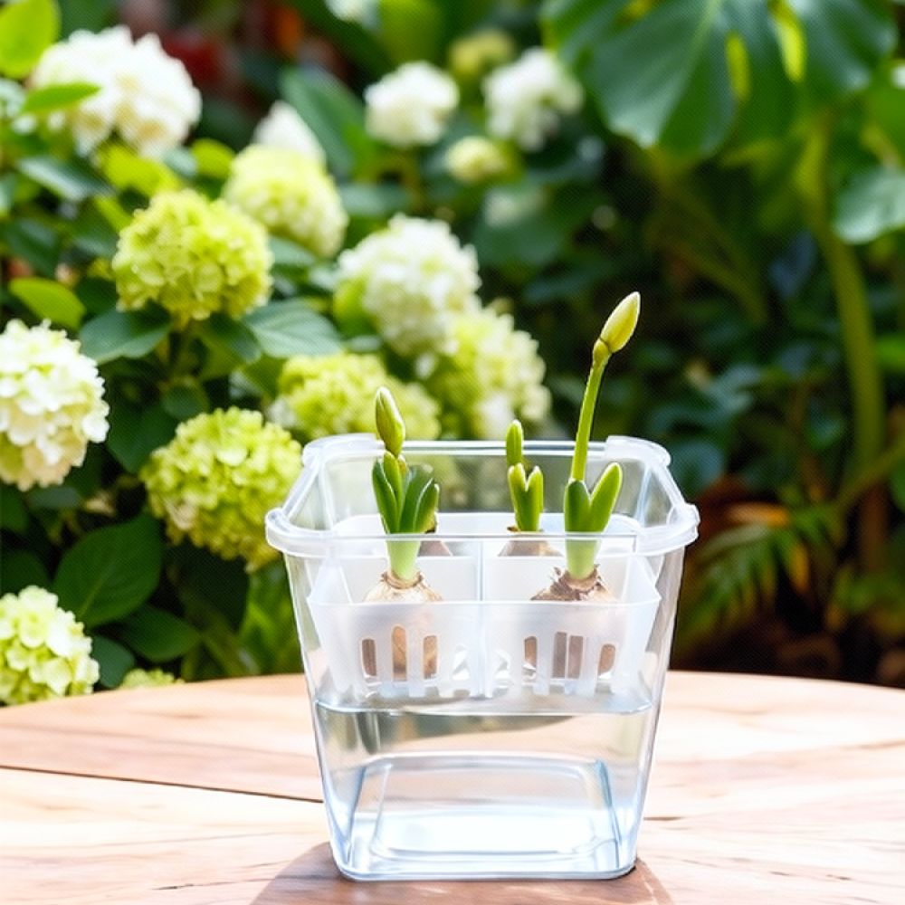 Hydroponic Vase For Tulip Lily - Vase Decor review and price